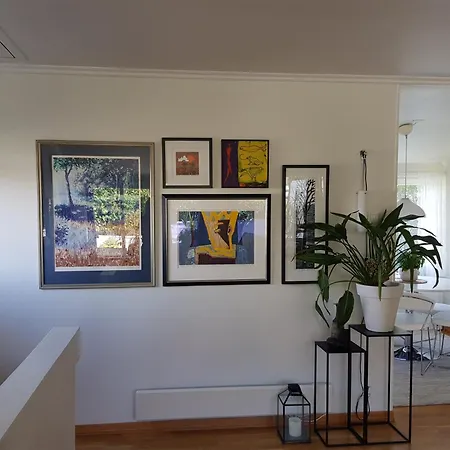 Gronnlunge * Στάβανγκερ